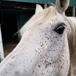 Meet your Posher, Aaron